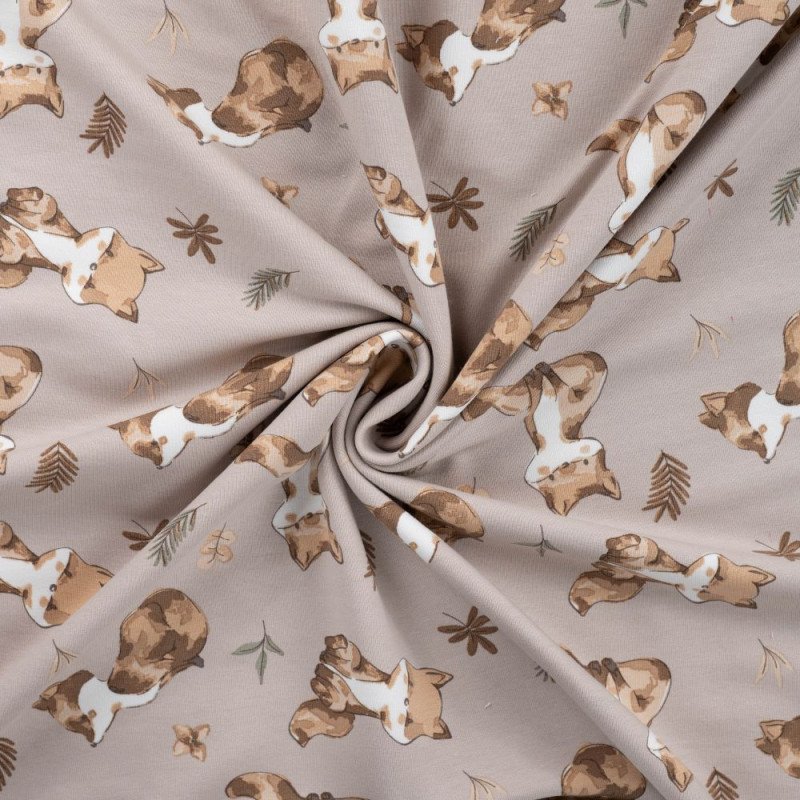 Füchse taupe