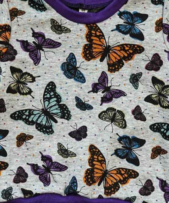 Schmetterling Schmetterling