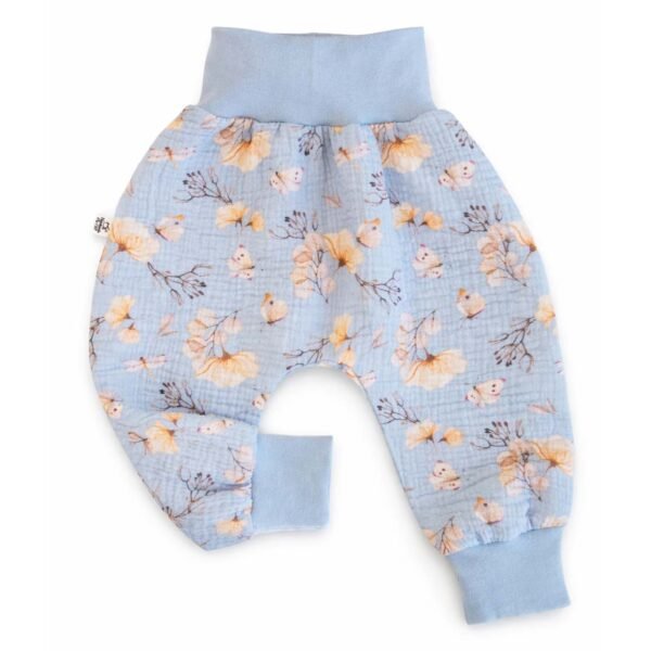 Libellen & Schmetterlingen Libellen & Schmetterlingen