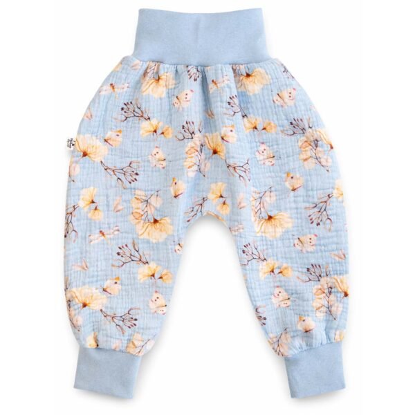 Libellen & Schmetterlingen