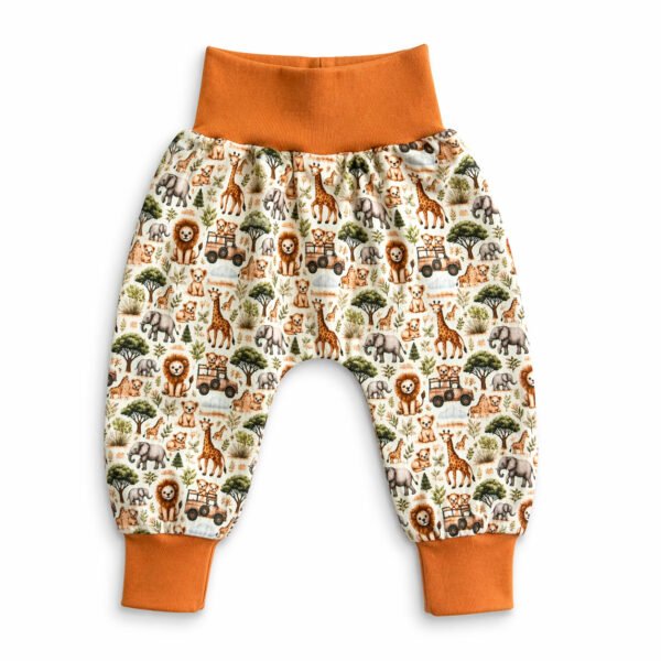 safari