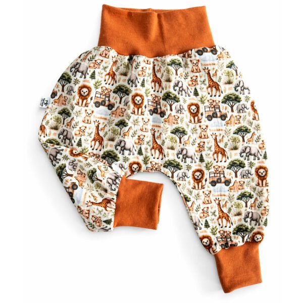 safari