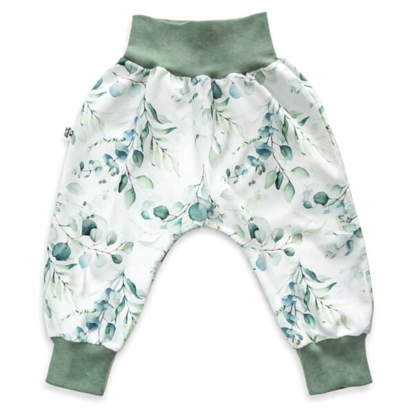 Eukalyptus Eukalyptus