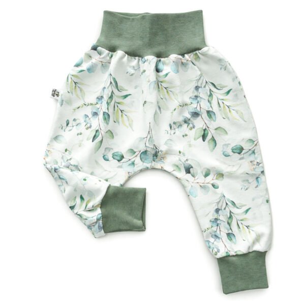 Eukalyptus Eukalyptus