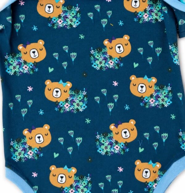 Teddys