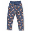 Fuchs blau Fuchs blau